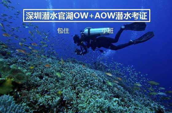 烈焰裁决