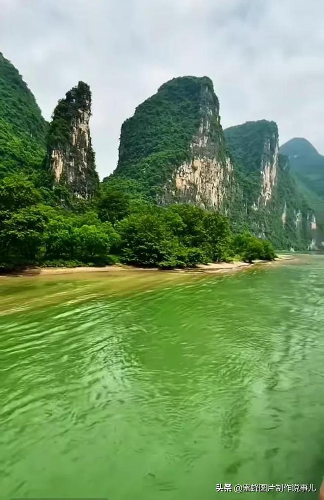 小长颈鹿逃离
